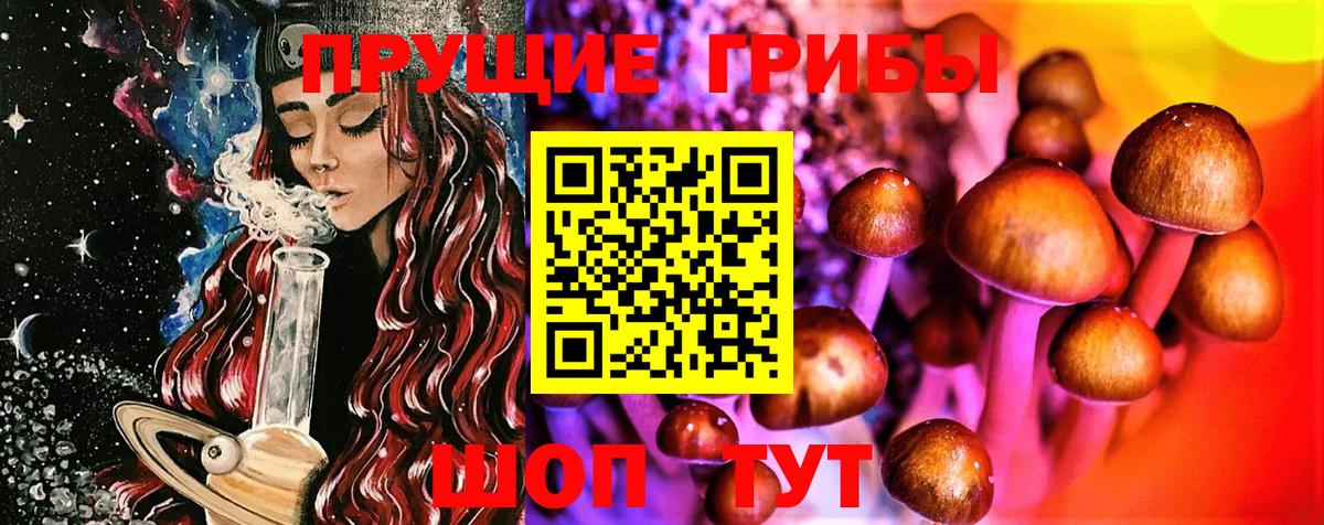 Минусинск  Псилоцибиновые грибы MAGIC MUSHROOMS  Вход с VPN  купить наркоту  Псилоцибиновые грибы ЛСД 